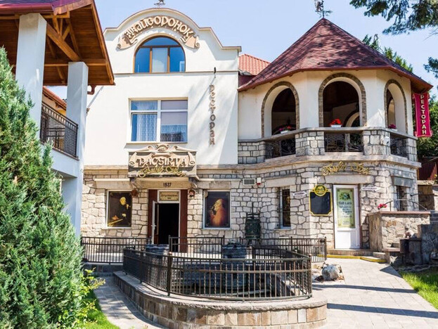 Отель Жайворонок Берегово - Закарпатье