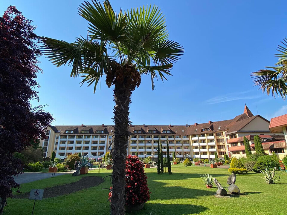 Санаторий Квитка Полонины - Солочин, Закарпатье