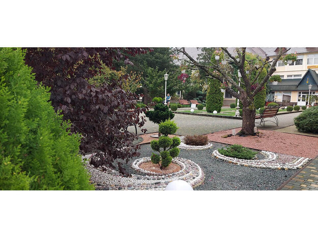 Санаторий Квитка Полонины - Солочин, Закарпатье