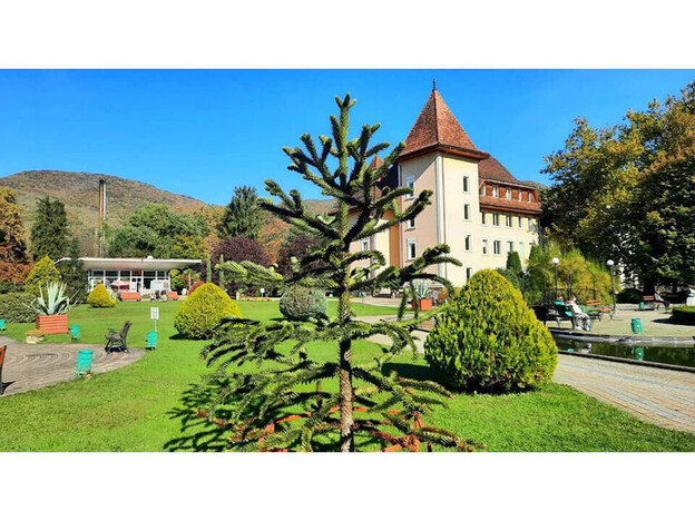 Санаторий Квитка Полонины - Солочин, Закарпатье