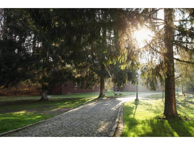 Санаторий Карпатия - Шаян, Закарпатье