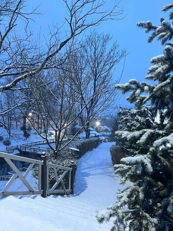 Отель Катерина Поляна Закарпатья