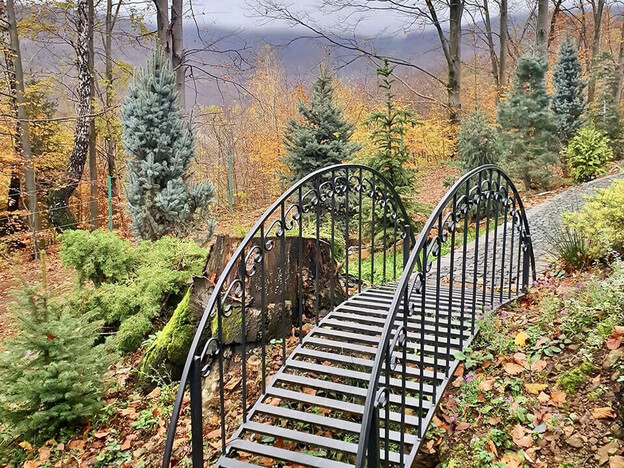 Санаторий Синяк - Закарпатье