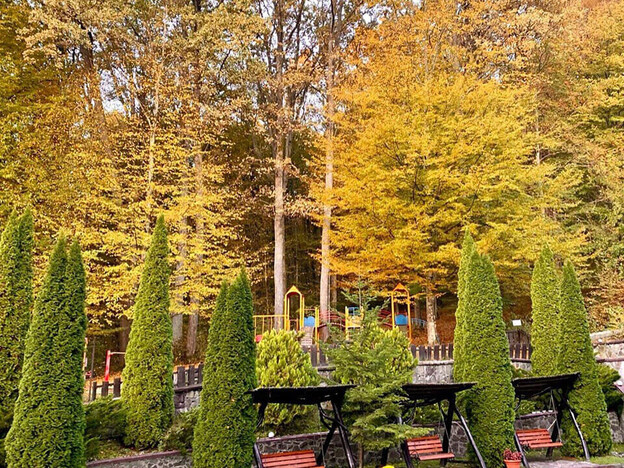 Санаторий Солнечный - Поляна, Закарпатье