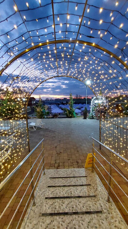 Отель Жайворонок Берегово - Закарпатье