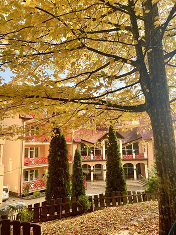 Санаторий Солнечный - Поляна, Закарпатье