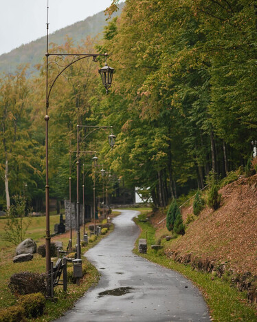 Отель Воеводино Закарпатья