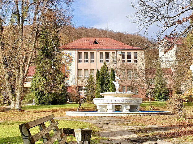 Санаторий Синяк - Закарпатье