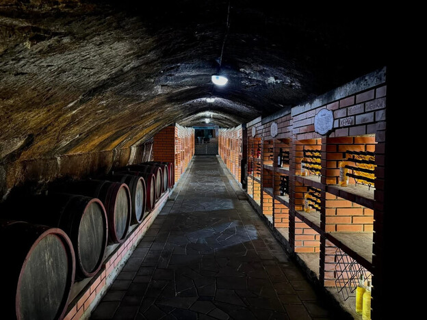 Отель Жайворонок Берегово - Закарпатье