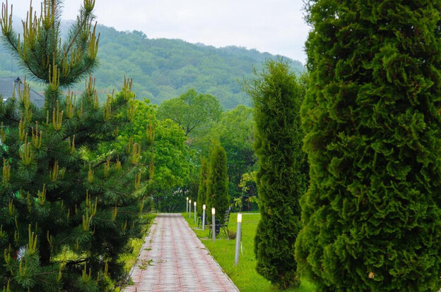Отель VitaPark Поляна, Закарпатье