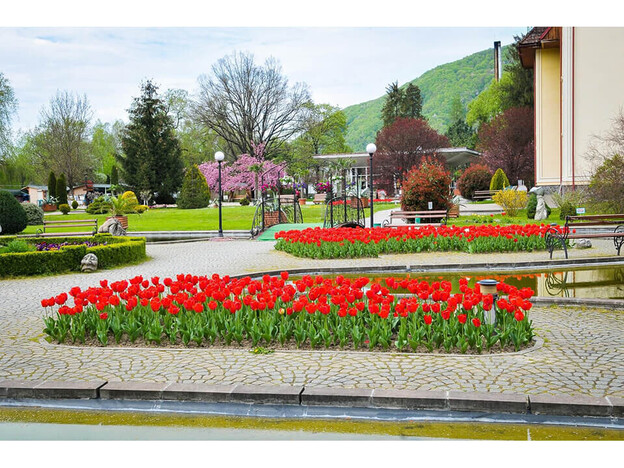 Санаторий Квитка Полонины - Солочин, Закарпатье