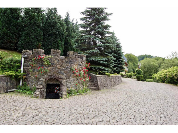 Санаторий Синяк - Закарпатье