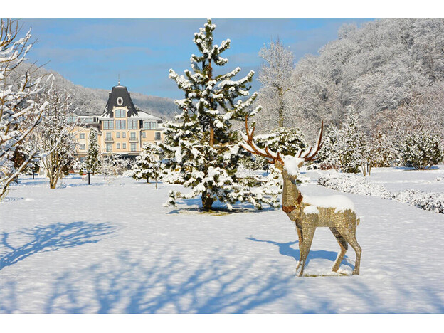 Отель Ирис – Закарпатье