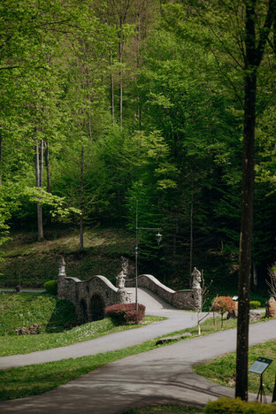 Отель Воеводино Закарпатья