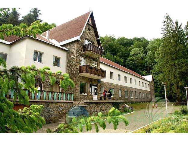 Санаторий Синяк - Закарпатье