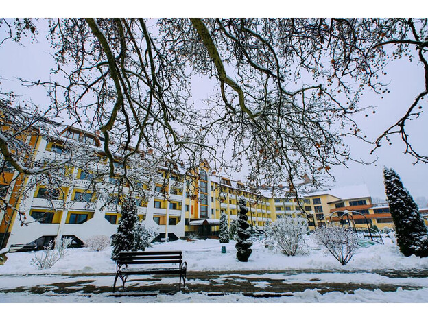 Санаторий Квитка Полонины - Солочин, Закарпатье