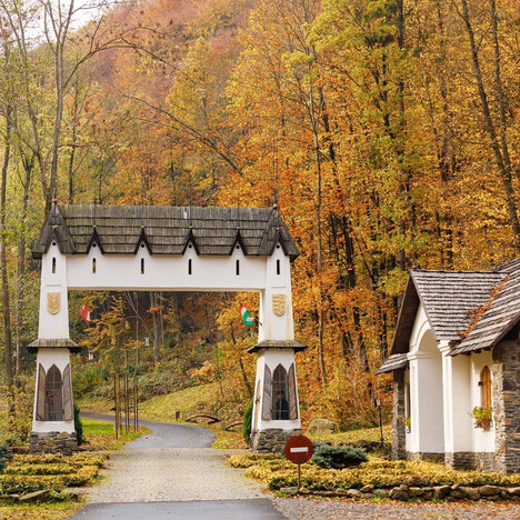 Отель Воеводино Закарпатья