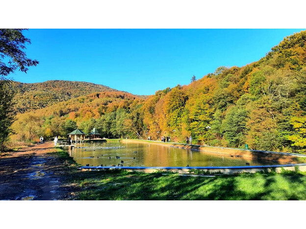 Санаторий Квитка Полонины - Солочин, Закарпатье