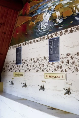 Отель Лесная Казка Велятино