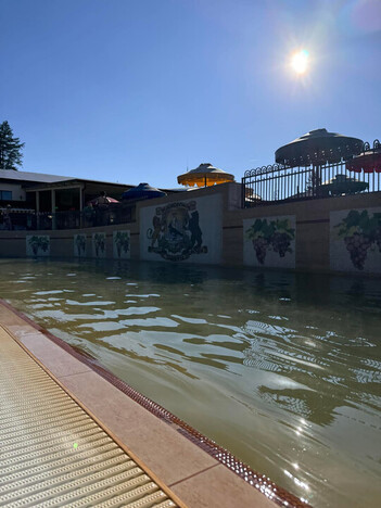 Отель Жайворонок Берегово - Закарпатье