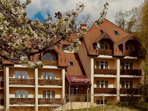 Готель Гортензія - Поляна, Закарпаття. Галерея фото №2