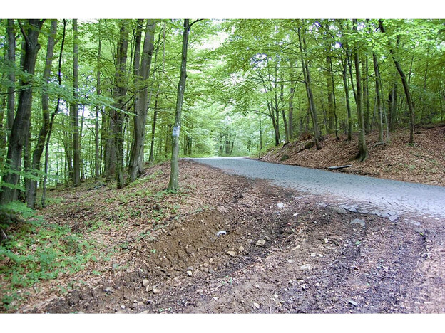 Санаторий Синяк - Закарпатье