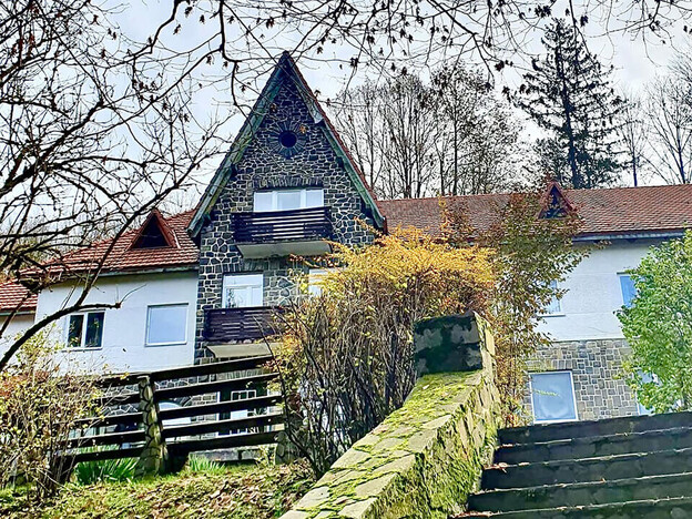 Санаторий Синяк - Закарпатье