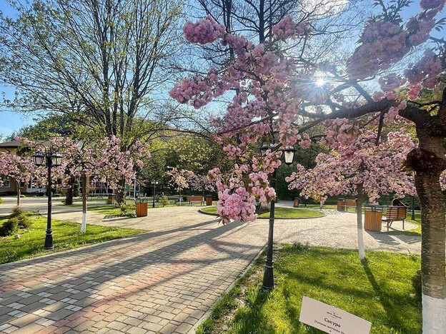 Отель Belle Royalle (Бель Рояль) - Закарпатье