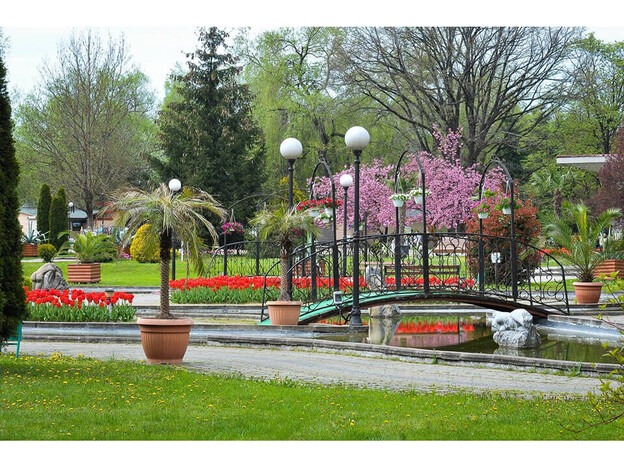 Санаторий Квитка Полонины - Солочин, Закарпатье