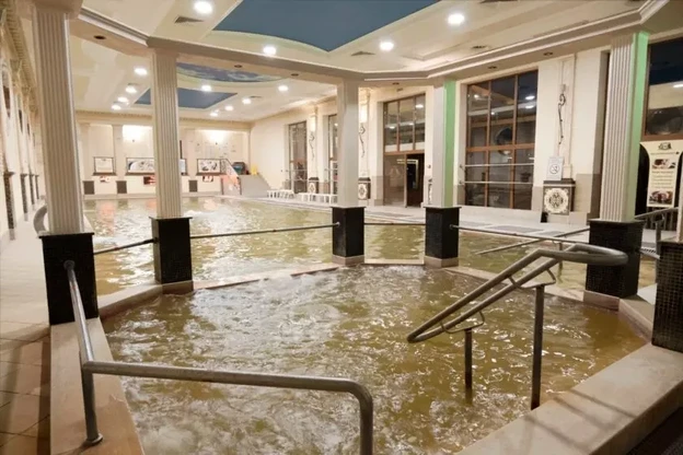 Отель Жайворонок Берегово - Закарпатье