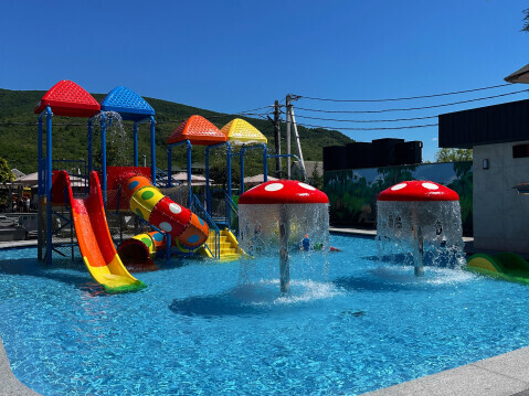 Отель IVORY Resort & Spa Закарпатье