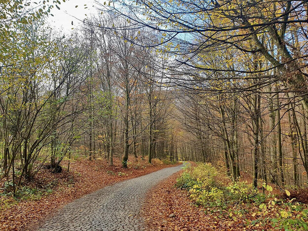 Санаторий Синяк - Закарпатье