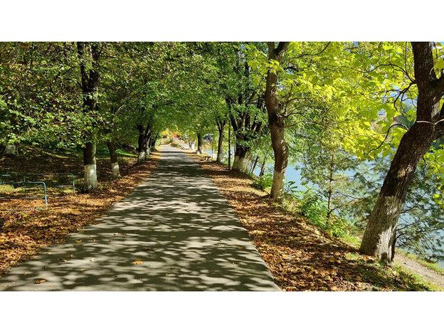 Санаторий Солнечное Закарпатье - Поляна