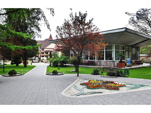 Санаторий Квитка Полонины - Солочин, Закарпатье