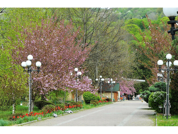 Санаторий Квитка Полонины - Солочин, Закарпатье