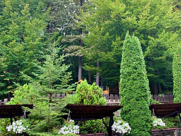 Санаторий Солнечный - Поляна, Закарпатье