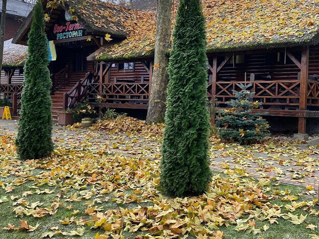 Оздоровительный комплекс «Эко-Термал» Закарпатье