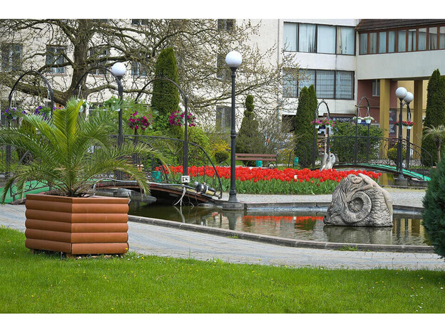 Санаторий Сузирье - Солочин, Закарпатье