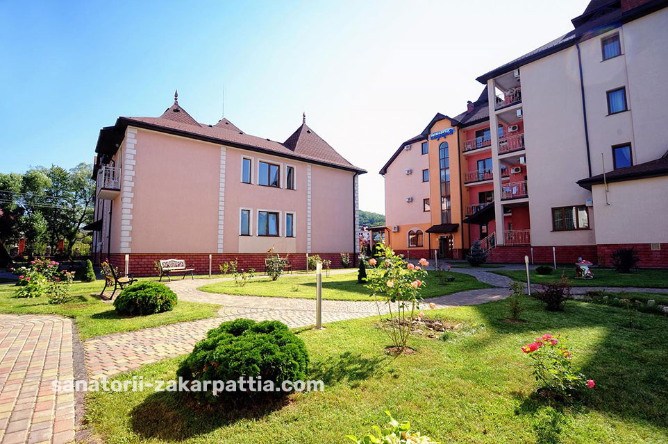 село Поляна Закарпатье