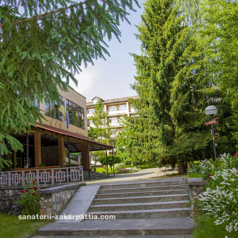 Поляна Закарпатская область