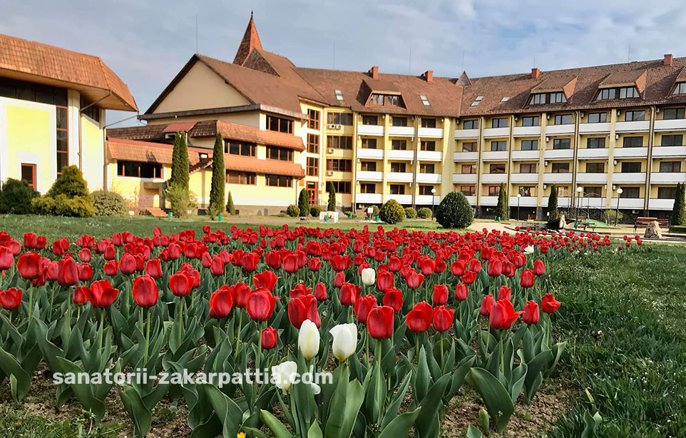 Санатории Ужгорода