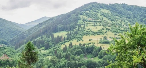  Курорт Квасы