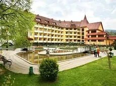 Как выбрать санаторий в Закарпатье?