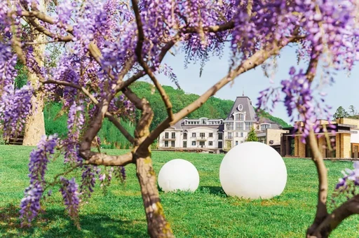 Термальные воды Закарпатья