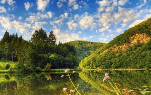 Курорты Закарпатья