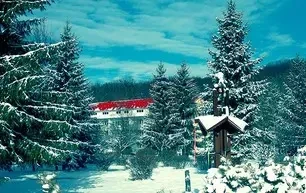 ОТДЫХ НА НОВЫЙ ГОД И РОЖДЕСТВО В САНАТОРИИ «ТЕПЛИЦА»!