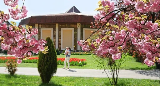 ВЕСЕННИЕ КАНИКУЛЫ в санатории «Квитка полонины»