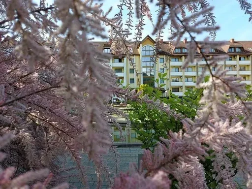 Санаторий Квитка Полонины Закарпатья