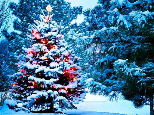 Отдых в Закарпатье на новый год 2019