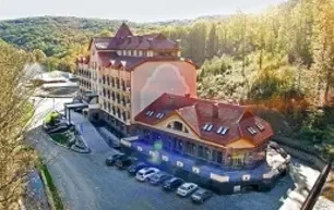 Лечение в Закарпатье